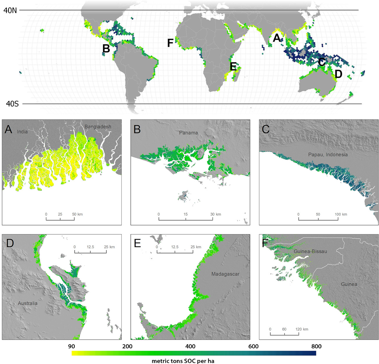 Global predictions of SOC stock for 0–1 m for mangroves based on Sanderman et al. (2018).